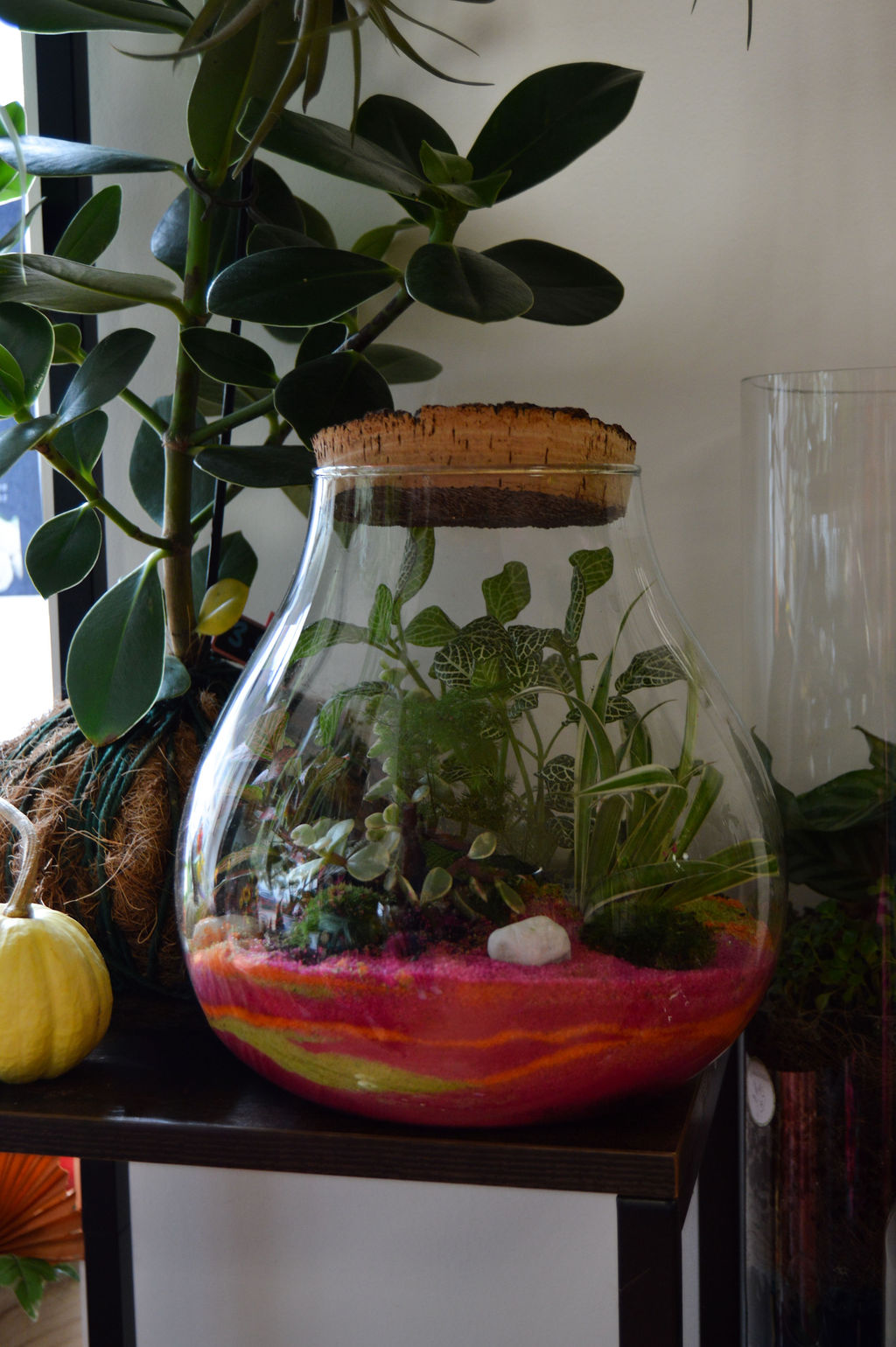 Terrariums