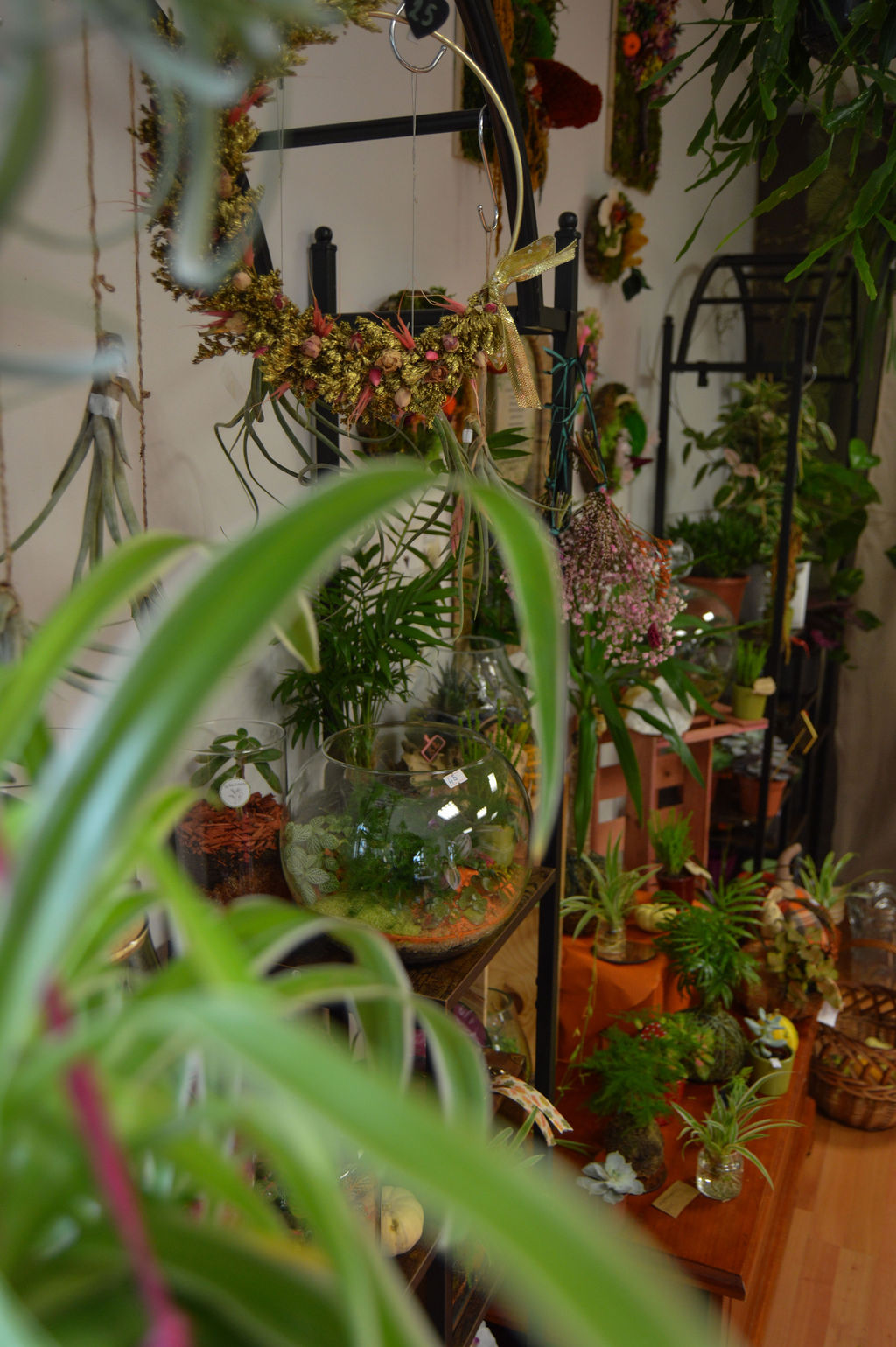 La Bouturette - Atelier végétal