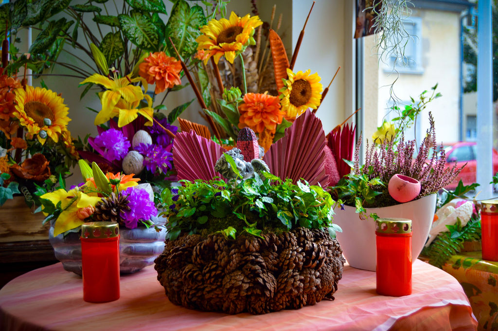 Création végétale 6