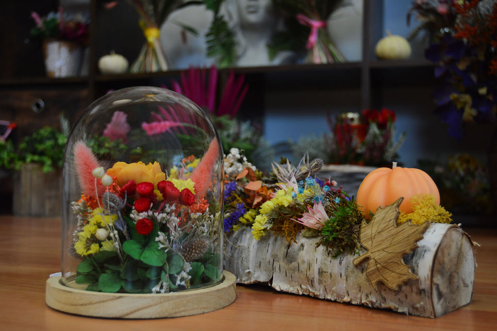 Création végétale 4